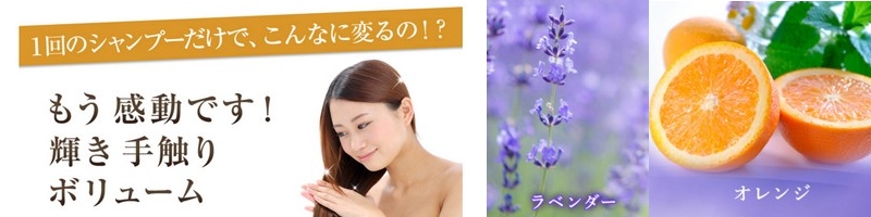 ���܃A���G������T�C�g